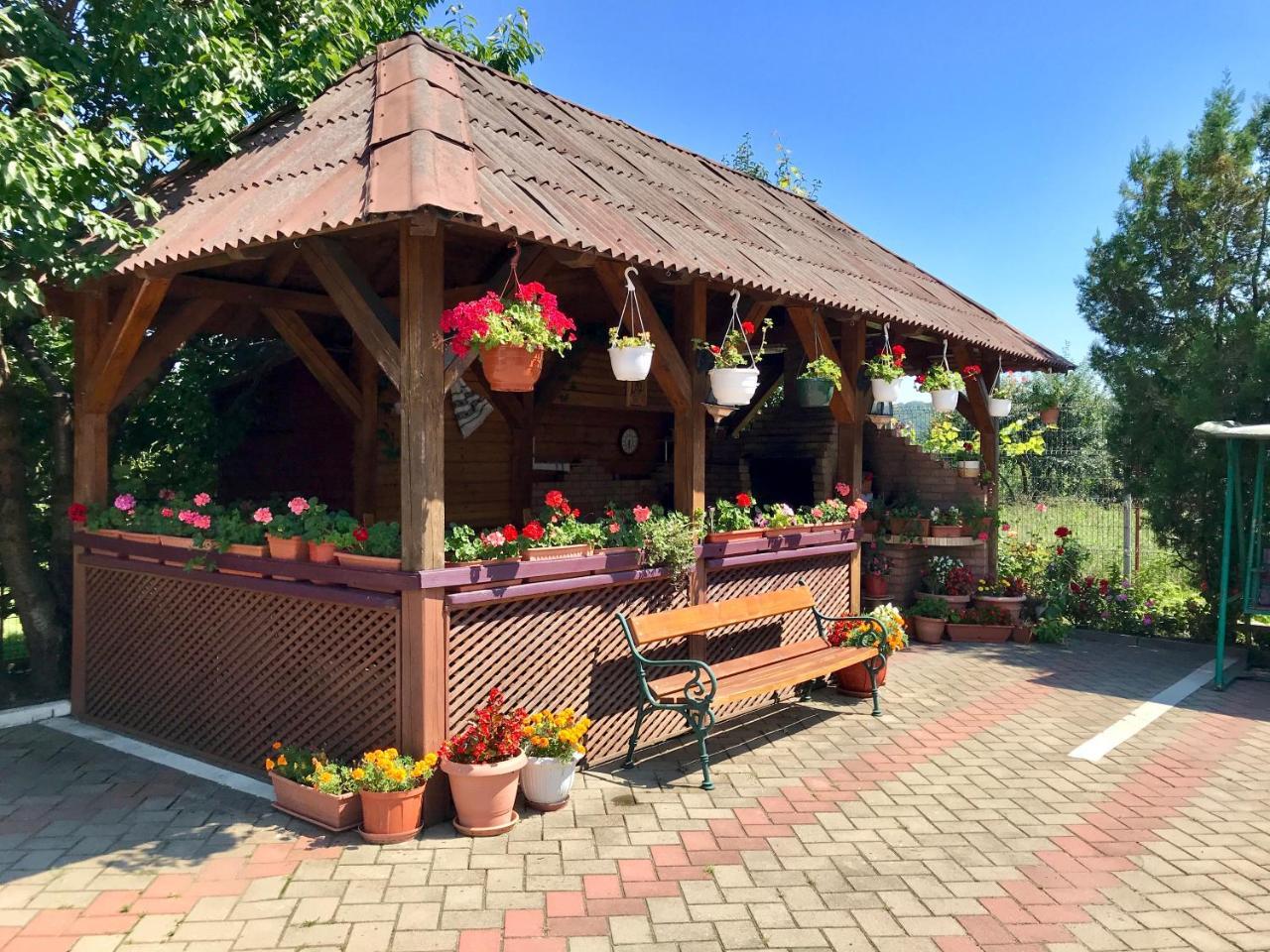 Pensiunea Confort Hotel Suceava Exterior foto